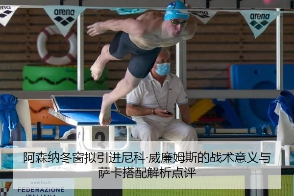 a-sen-na-dong-chuang-ni-yin-jin-ni-ke-wei-lian-mu-si-de-zhan-shu-yi-yi-yu-sa-ka-da-pei-jie-xi-dian-ping-2-119.jpg